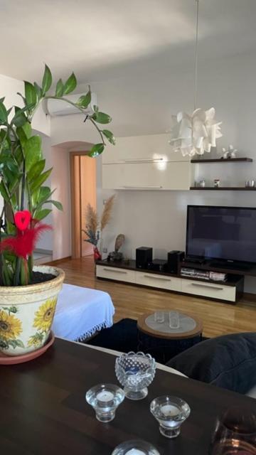 Apartment Marina 里耶卡 外观 照片