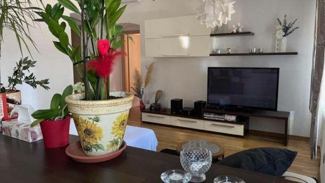 Apartment Marina 里耶卡 外观 照片